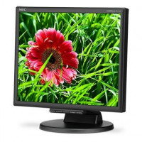 NEC MultiSync E171M - LED monitor - 17