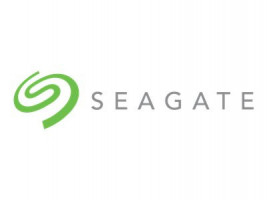 Seagate IronWolf Pro ST10000NE000 - 10 TB - SATA 6Gb/s